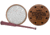 FOXPRO CRIMSON CRYS FRICTION TURKEY CALL CRIMSONCRYS