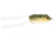G-Ratt Baits Con Frog Hard Swimbaits