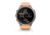 Garmin Fenix 9 Pro Watch