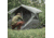 Gazelle T4 4 Person Hub Tent, Alpine Green, 012642022401