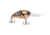 Googan Squad Grande Recon Hard Bait, 3in, 1 oz, Mudbug, 10-01-GGS-10007A