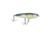 Googan Squad Revolver Hard Bait, 4.5in, 1 oz, Sexy Shad, 10-01-GGS-10014F