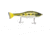 Googan Squad Rival Hard Bait, 7in, 2.1 oz, Baby Bass, 10-01-GGS-10021B