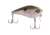 Googan Squad Wake Banger Hard Bait, 2 3/8in, 7/16 oz, Native Shad, 10-01-GGS-10020H
