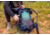 Gregory Amber Backpack