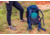 Gregory Amber Backpack