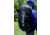 Gregory Baltoro 65 68L Backpack