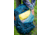 Gregory Deva 60 Backpack