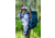 Gregory Deva 60 Backpack