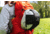 Gregory Packable Helmet Holder