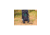 Gregory Stout 55L Backpack