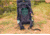 Gregory Stout 70L Backpack, Forest Black, 149377-A266