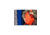 Gregory Verte 18L Daypack - Mens, Apres Orange, Medium/Large, 147906-A388