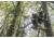 Hawk Treestands Rival Lite Hang-On w/ Seat, Black, HWK-ULHOS