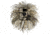 Hawk Treestands Trail Camera Shag