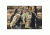 Hazard 4 Plan-C Dual Strap Daypack, MultiCam, BKP-PLC-MTC