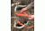 Heavy Hauler Outdoor Gear Nylon Webbing Deer Drag Harness, Blaze Orange, 2in wide HH0065