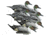 Higdon Outdoors Battleship Pintail, Multi Color, Foam Filled, 6 Pack, 16544