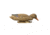Higdon Outdoors 17053 Magnum Mallard Foam Filled Floaters Multi Color Mallard