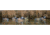 Higdon Outdoors 19953 Standard Blue Wing Teal Species Multi Color Foam Filled 6