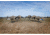 Higdon Outdoors Alpha Magnum Full-Body TruFeeder Pack Decoy, Canada, 71246