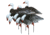 Higdon Outdoors APEX Full-Size Full-Body Variety Pack Decoy, 8 Pack, Blue, 72438