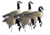 Higdon Outdoors APEX Full-Size Full-Body Variety Pack Decoy, Canada, 6 Pack, 72237