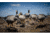 Higdon Outdoors APEX Full-Size Full-Body Variety Pack, Specklebelly, 72536