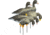 Higdon Outdoors APEX Full-Size Full-Body Variety Pack, Specklebelly, 72536