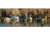 Higdon Outdoors Battleship Puddle Pack Decoy, Foam Filled, 6 Pack, Larger than Lifesize, 16993