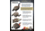 Higdon Outdoors Hard Body Upright Hen Turkey Decoy, 63111