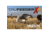 Higdon Outdoors XS TruFeeder Motion Decoy - Alpha Canada Goose w/ Ring Base, 50721