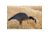Higdon Outdoors XS TruFeeder Motion Decoy - Alpha Canada Goose w/ Ring Base, 50721