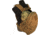 High Ground Gear BANG Pack, Tactical, Coyote, HG-8500-4