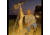 Hog Saddle SLIK DX700PRO Tripod