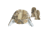 Hot Shot Youth Ear Flap Cap &amp; Mitten Se