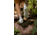 HUK Performance Fishing Rogue Wave Boot - Womens