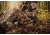 Hunt Comfort Hiker GelCore Hunting Seat, Coyote Brown, 15.25x9x2.5in HCSC15G