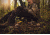 Hunt Comfort Scout Cushion Hunting Seat, Realtree Extra Camo, 15x10.5x2.5in HCSC50G