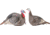 Hunters Specialties Hs Strut Turkey Decoy Combo Hen/jake Strut-lite