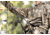 Hunter Safety System Flex Suspenders, One Size Fits Most, 1502771