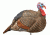 Hunters Specialties 07601 Jake Snood Turkey Decoy