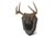 Hunters Specialties Antler Skull Cap Mount, Black, HS-BB-SC-ASSY