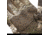 Huntworth Ansted Mid Weight Plush Fleece Lined Hunting Glove - Mens, Tarnen, Medium, E-1207-TRN-M