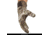 Huntworth Ansted Mid Weight Plush Fleece Lined Hunting Glove - Mens, Tarnen, Medium, E-1207-TRN-M
