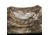 Huntworth Ashland Light Weight Cotton/Poly Long Sleeve Shirt - Men's, Tarnen, 2X-Large, E-944-TRN-2XL