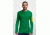 Icebreaker Apex Long Sleeve Crew Mountain Icon Top - Men's-Lucky-Small