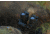 InfiRay Outdoor Mini MH25 Multi-Function Thermal Monocular, 640x480, 25mm, Black, IRAY-MH25