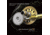 Kast King Kapstan Elite Saltwater Spinning Reel, 5.7:1, 13.9oz, KKRLSPNKPS30GM