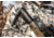 DEMO, Killer Instinct Boss 405 Crossbow Kit, 405 Fps, 1104